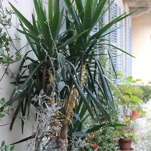 Hébergement de vacances Dimora Boezio7, Cozy And Charming Place In Center With Private Parking